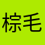 棕毛Zongmao