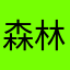 森林的小羊