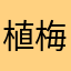 植梅9