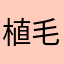 植毛成功ISSA