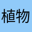 植物君优选给大家拜年