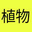 植物大作战