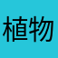植物大战僵尸二