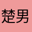 楚男子