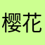 樱花风暖