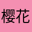 樱花12.