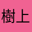 樹上有只熊