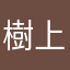 樹上的懶貓