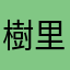 樹里枝