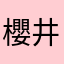 櫻井の翔氏が大好き