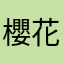 櫻花之島上路