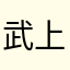 武上至尊