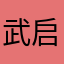 武启华