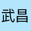 武昌身体v