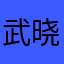 武晓痴