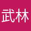 武林梦之队