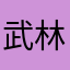武林盟主yyn