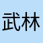武林99999