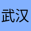 武汉之子