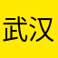 武汉孟老师