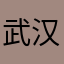 武汉小狮子
