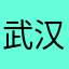 武汉托雷斯