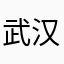 武汉金元