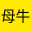 母牛的传统