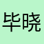 毕晓丽