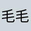 毛毛张11