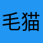 毛猫空姐98号