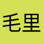 毛里求斯的国王