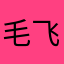毛飞虎