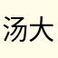 汤大美美
