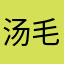 汤毛毛7047