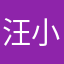 汪小小菲