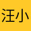 汪小汪27