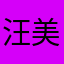 汪美西