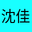 沈佳宜。