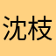 沈枝意！