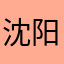沈阳定图地方，体贴