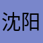 沈阳宝大爷