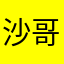 沙哥来了