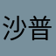 沙普爱思