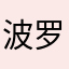 波罗Z