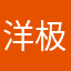 洋极流