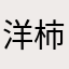 洋柿子儿