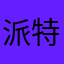 派特老公