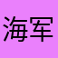 海军联合舰队