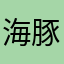 海豚的主人